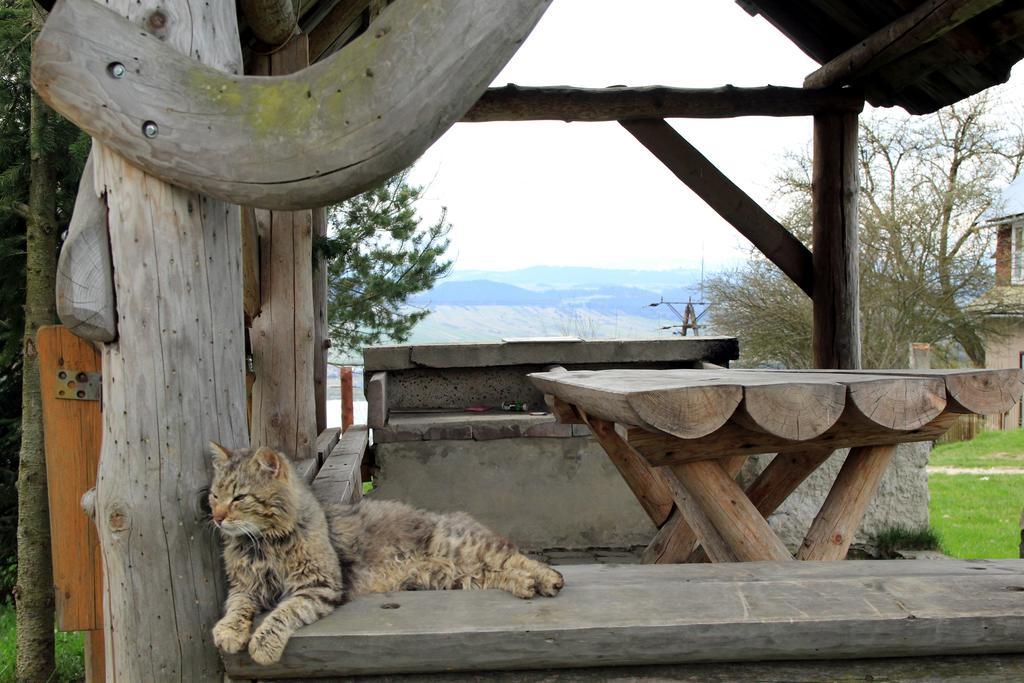 Gospodarstwo Karolina Huba Dış mekan fotoğraf